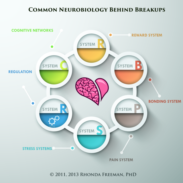 The Neurobiology Behind Breakups | Psychology Today